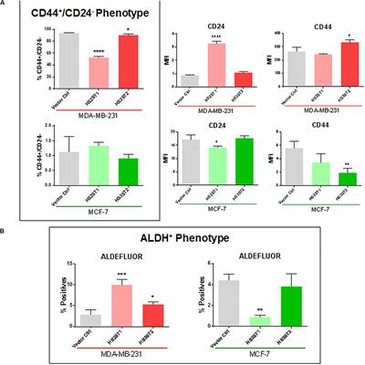 The Heparan Sulfate Sulfotransferases HS2ST1 and HS3ST2 Are Novel Regulators of Breast Cancer Stem-Cell Properties